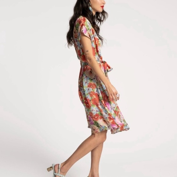 Frances Valentine Anna Slope Arm Dress with Pockets Rose print 2X - Picture 2 of 7